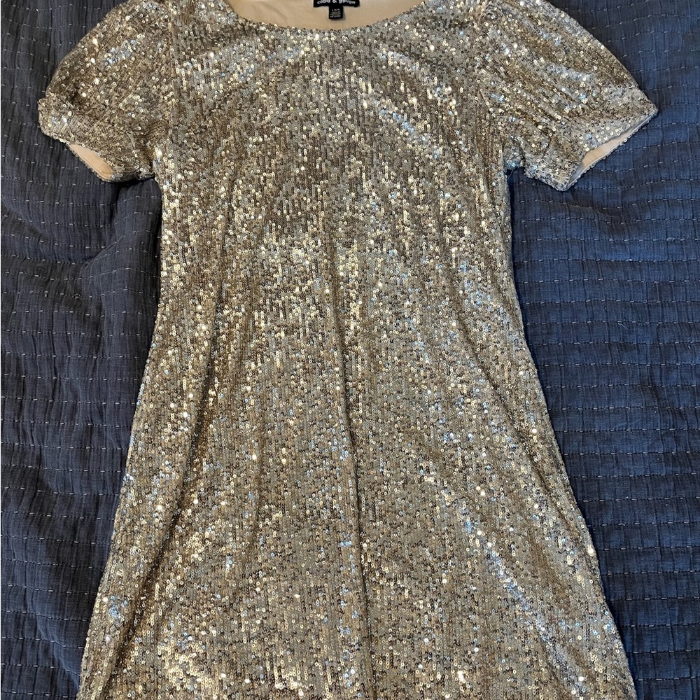 Silver Sequin Dress
